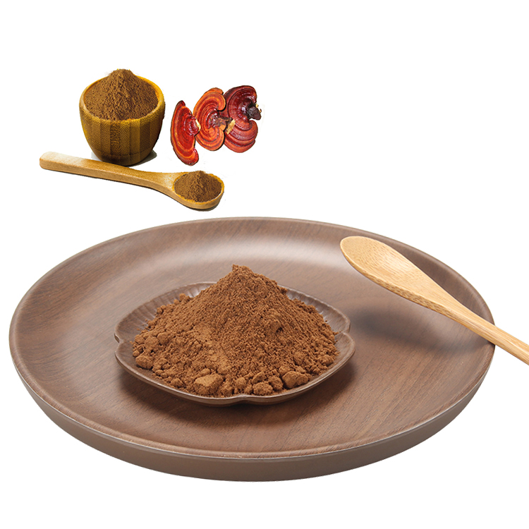 What Makes Our Reishi Mushroom Extract Truly Organic